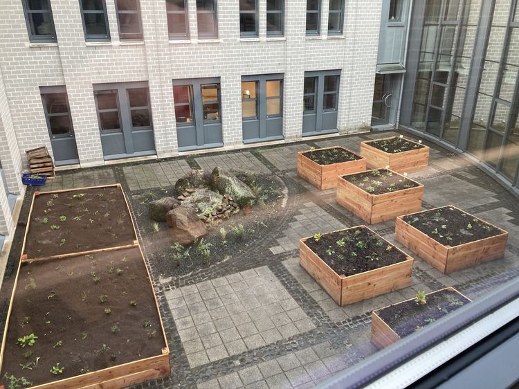 The photo shows the large square wooden raised beds in the inner courtyard. They stand on the stone floor and the grey building facades can be seen in the background.