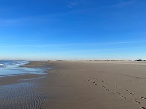 ein Foto vom Strand auf Spiekeroog, der Himmel ist blau