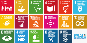 Grafik mit einigen der Sustainable Development Goals