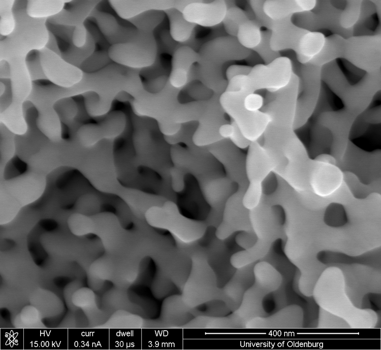 Elektronenmikroskopische Abbildung von nanoporösem Gold