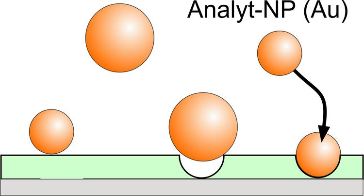 Schema: Aufnahme der Analyt-Nanopartikel