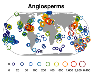 The map shows the species richness of Angiosperms around the world