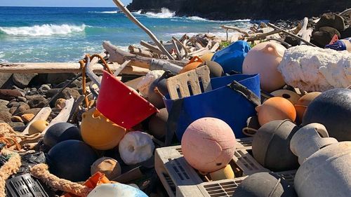Only a small fraction of plastic litter floating in the seas ends up on the shores, as to be seen here at Unalau Bay, Hawaii. In future, scientists want to trace marine plastic litter by means of remote sensing to selctively organise cleanups, e.g. [Image: Sarah-Jeanne Royer].