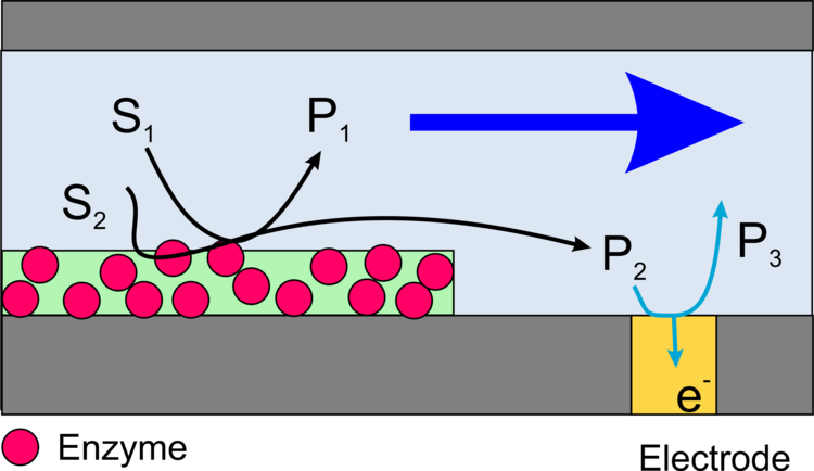 Schema Anordnung in einem Mikrokanal