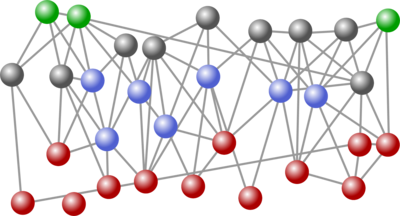 Schematic representation of a network with differently coloured network nodes.