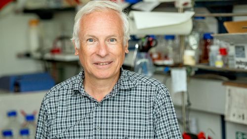 Der Oldenburger Mikrobiologe Prof. Dr. Meinhard Simon ist Sprecher des von der Deutschen Forschungsgemeinschaft (DFG) geförderten Sonderforschungsbereichs (SFB/ Transregio) „Roseobacter". Foto: Universität Oldenburg