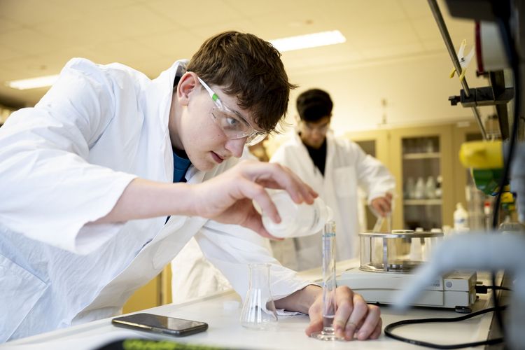 Didaktik Chemie, Forschung, Experiment, Schule, Nachwuchs