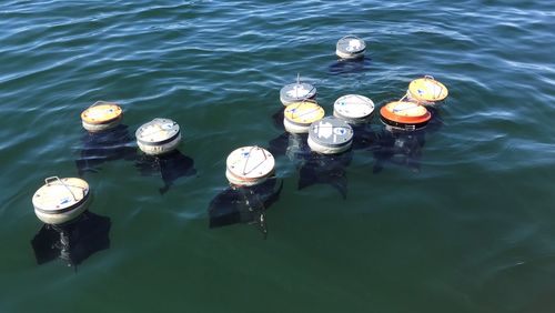 Anhand von Driftkörpern, die auf ähnlichen Wegen wie Müllpartikel im Meer umhertrieben und mit Satellitensendern ausgestattet waren, ermittelte das Team die Verbreitungswege des Plastikmülls. Foto: Jens Meyerjürgens