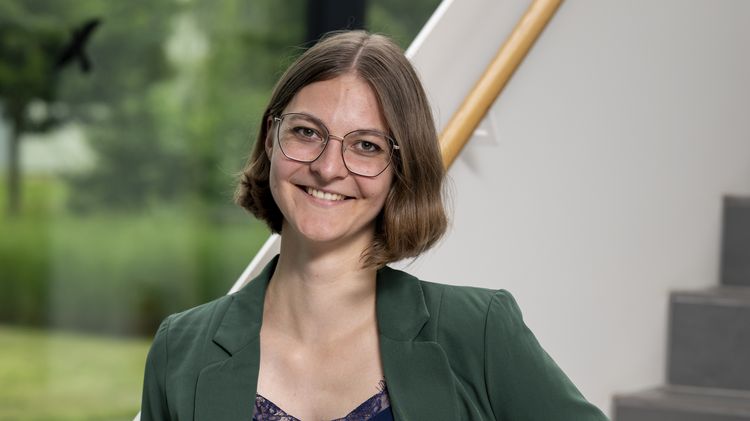 Institut für Chemie, Didaktik der Chemie, Forschung