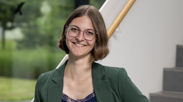 Institut für Chemie, Didaktik der Chemie, Forschung