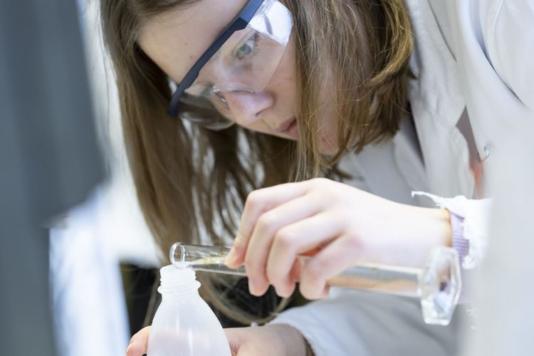 Schüler*innenwettbewerb "Chemie in Aktion, Teilnehmende