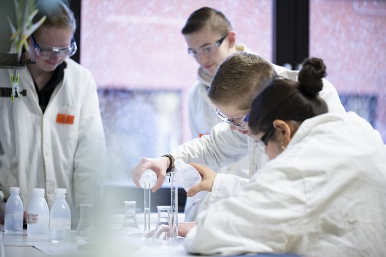 Schüler*innenwettbewerb "Chemie in Aktion, Teilnehmende