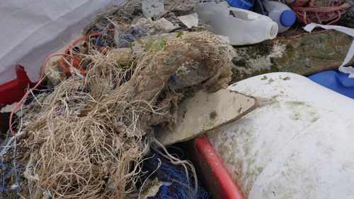 Mit dem Projekt "Treasure" sollen die Grundlagen geschaffen werden, den Eintrag von Meeresmüll aus Flüssen und Binnengewässern in die Nordsee zu verringern [Foto: S. Riexinger, ICBM] .