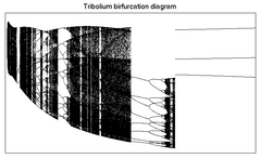Tribolium bifurcation diagram