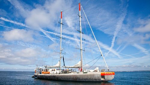 Research schooner TARA [Photo: Yohann Cordelle, CC BY 3.0]