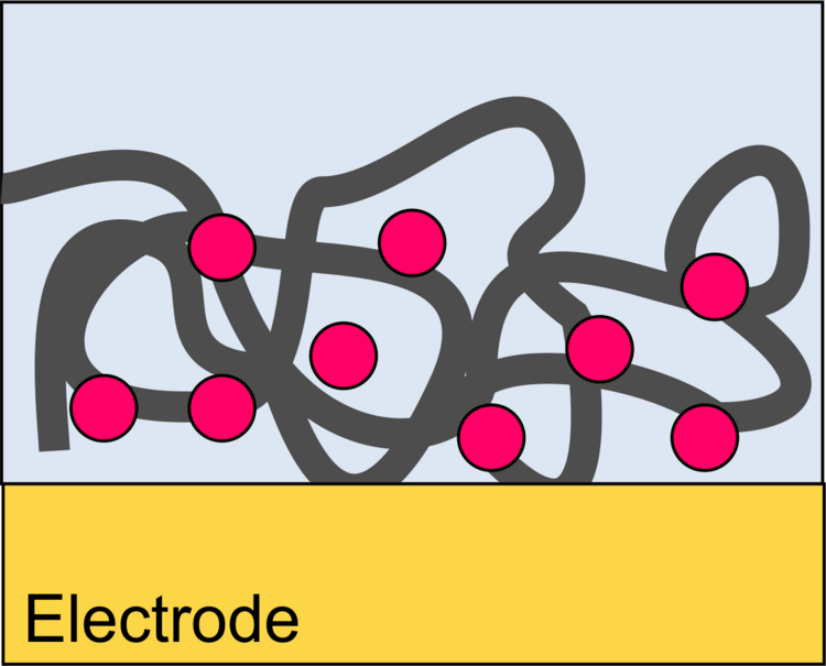 Scheme enbedding in polymer network