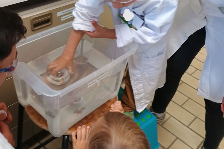 Kindergartenkinder experimentieren in den Laboren des Instituts für Chemie. 