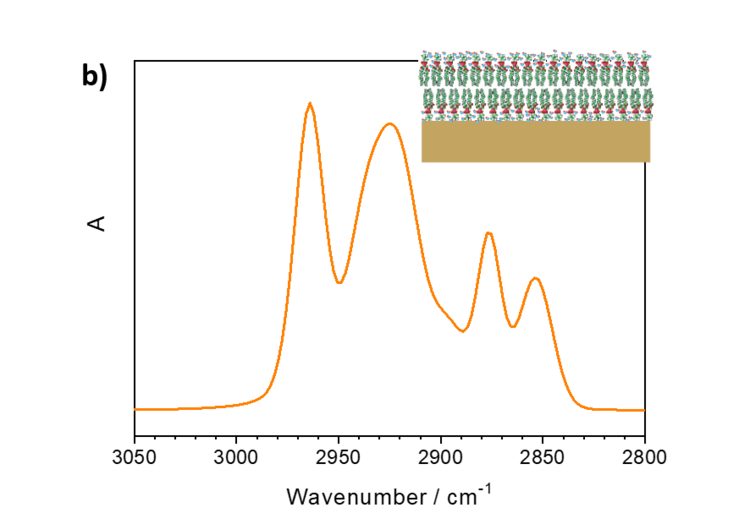 Beispieldaten für Spektrum von geordneter Lipidschicht