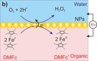 Bildung von Wasserstoffperoxid an Nanopartikeln