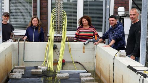 reuen sich über den Start des Experiments: (v.l.) Lutz ter Hell (Werkstattmitarbeiter ICBM), Jasmin Müller (Doktorandin AG Umweltbiochemie ICBM), Dr. Stefanie Moorthi (AG Planktologie, ICBM, Studienleitung), Mike Smykala (Doktorand, AG Planktologie, ICBM) und Dr. Sven Rohde (AG Planktologie, ICBM, Studienleitung). Foto: Universität Oldenburg / Sibet Riexinger