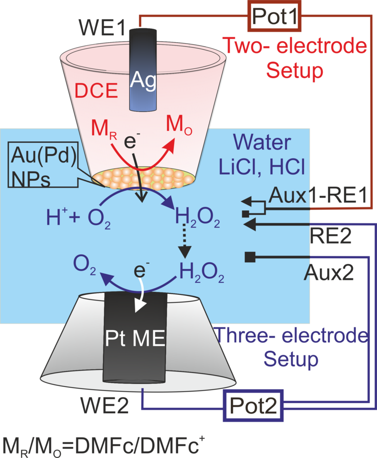 Schema der Anordnung aus einer Mikropipette und einer Mikroelektrode