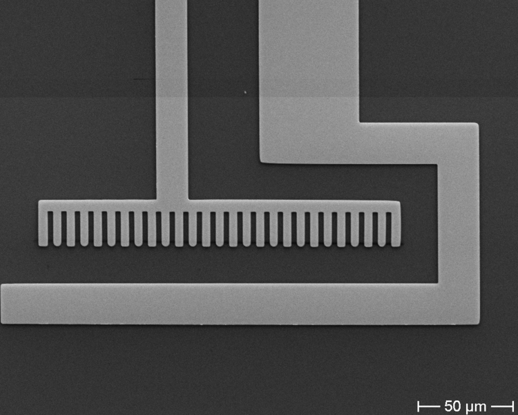 SEM image of bottom chip for liquid cell holder.