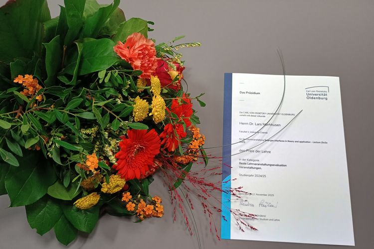 Preis der Lehre 2024/2025 an Dr. Lars Mohrhusen verliehen.