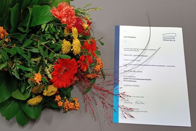 Preis der Lehre 2024/2025 an Dr. Lars Mohrhusen verliehen 
