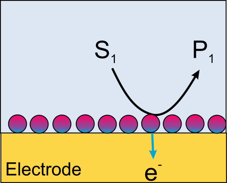 Schema Querschnitt Elektrode mit direkten Elektronentransfer
