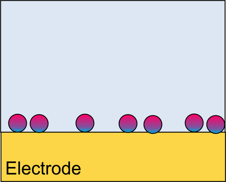 Schema Adsorption eines Proteins