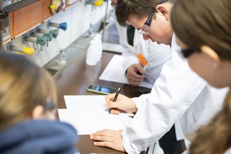 Didaktik Chemie, Forschung, Experiment, Schule, Nachwuchs