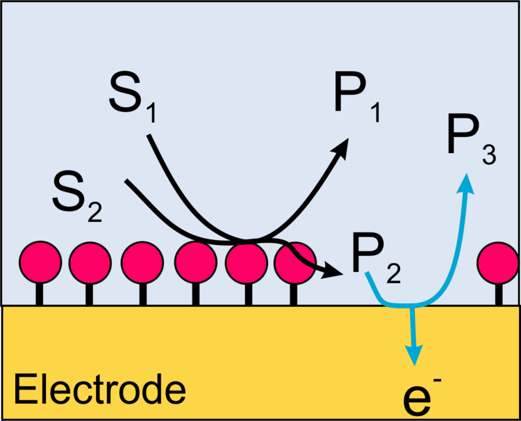 Scheme cross section enzyme electrode