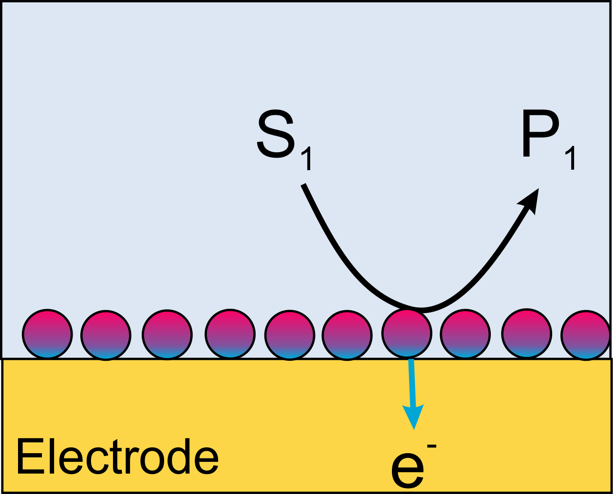 Scheme cross section of electrode with direkt electron transfer