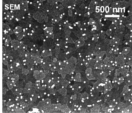 Image of nanoparticles on support surface