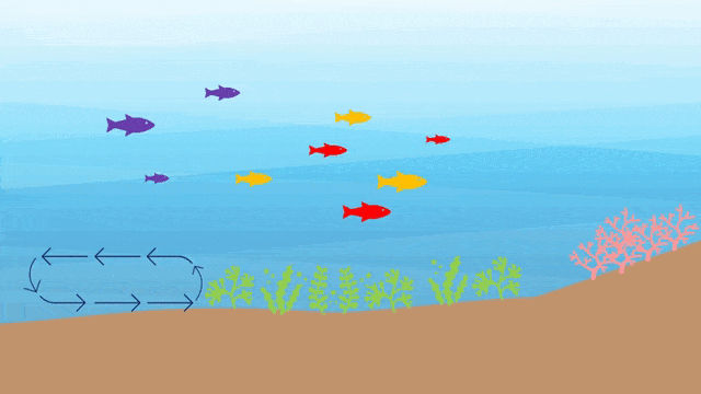 Bild: Eigene Animation