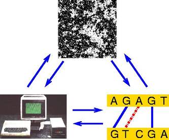 Physik-Informatik-Biologie