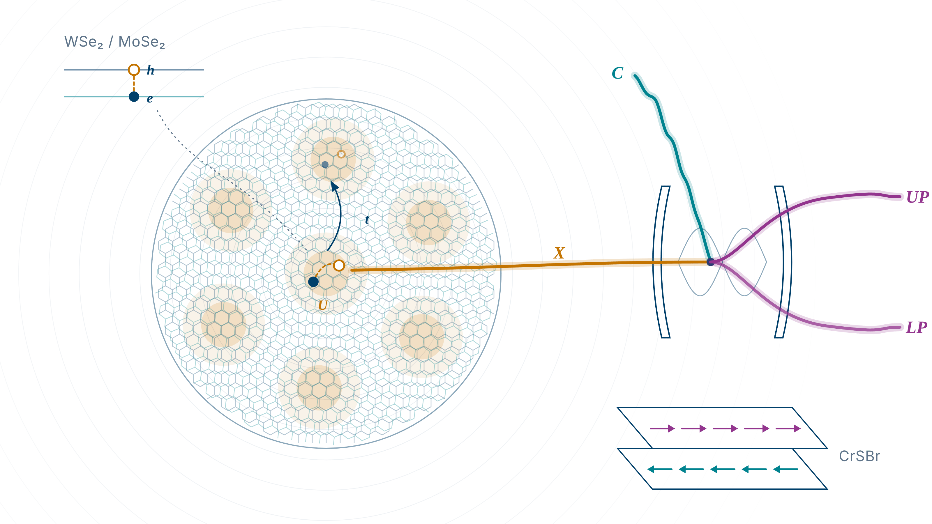 Schematische Darstellung: Zwei gegeneinander verdrehte 2D-Halbleiterschichten bilden ein Moiré-Muster mit Zwischenschicht-Exzitonen; rechts entstehen im Resonator Exziton-Polaritonen, unten ein geschichteter 2D-Magnet (CrSBr).