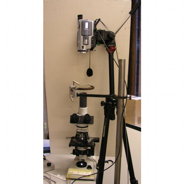 Foto des Versuchsaufbaus mit Mikroskop und Kamera.