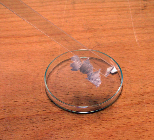 Foto von einem Plexiglasstab an dem Papierschnipsel kleben.