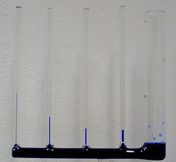 Foto von Glaskapillaern in denen gefärbtes Wasser unterschiedlich hoch ansteigt.