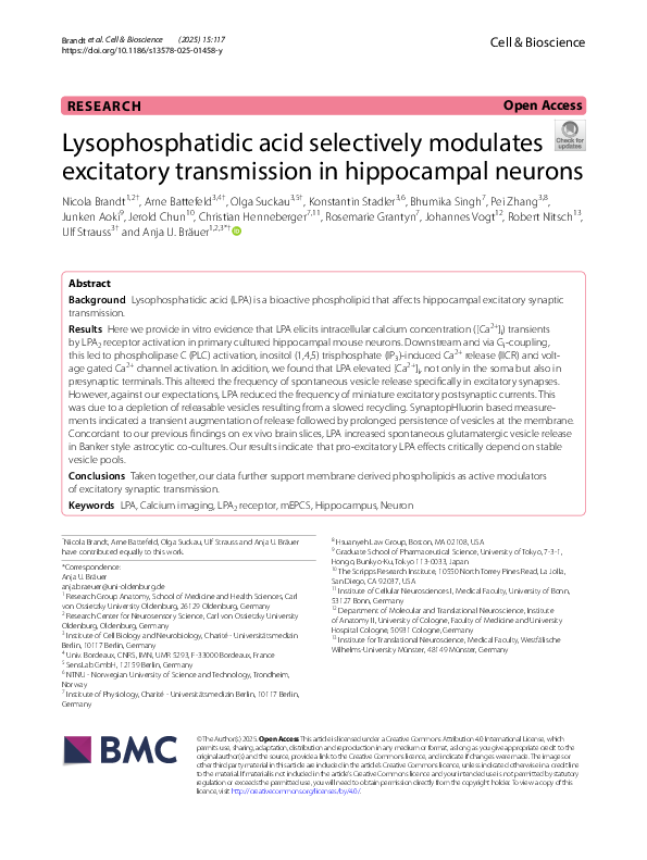 LPA, Calcium imaging, LPA2 receptor, mEPCS, Hippocampus, Neuron