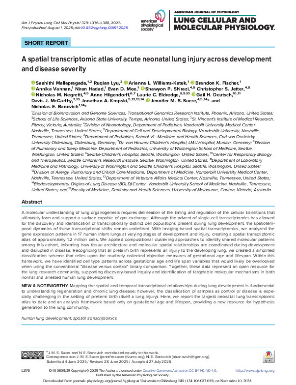 American Journal of Physiology-Lung Cellular and Molecular Physiology 2025.329:L376-L388
