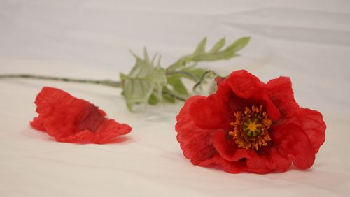 The photo shows an artificial poppy.