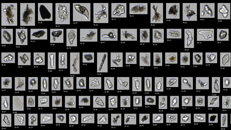 Collage of numerous small images, arranged in several rows on top of each other. The tiny particles described in the text can be seen.