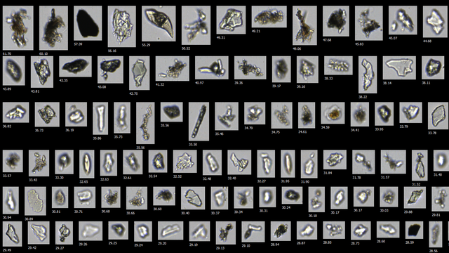 Collage aus zahlreichen kleinen Bildern, in mehreren Reihen übereinander angeordnet. Zu sehen sind die im Text beschriebenen winzigen Partikel.