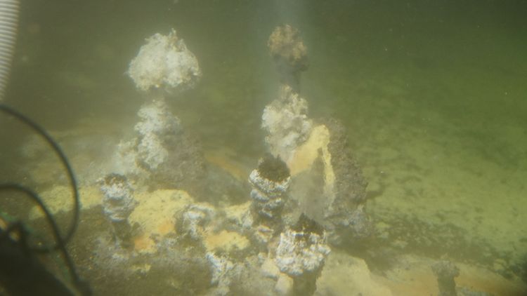 Unterwasserbild von zwei Schloten sowie Matten von Schwefelbakterien, im Vordergrund sind einige Schläuche von Alvin sichtbar.