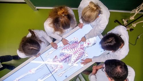 Blick von oben auf vier Studierende, die mit ihrer Lehrkraft am Anatomage stehen, einem Bildschirmtisch, der gerade das Skelett eines Menschen darstellt.