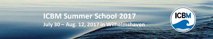 ICBM Summer School 2017