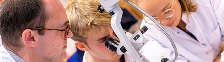 Voluntary Scientific Year