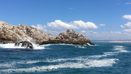 Algoa Bay off the Pacific coast of South Africa